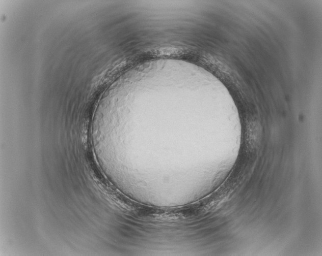 X0000058820545200510211932