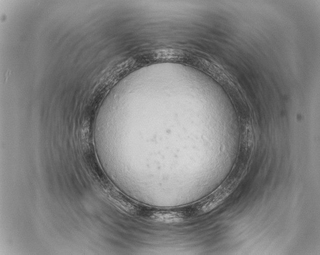 X0000058820557200510211932