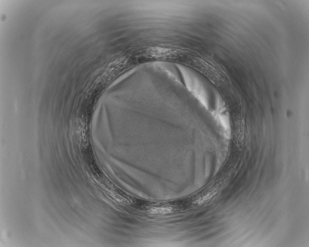 X0000058820653200510211931