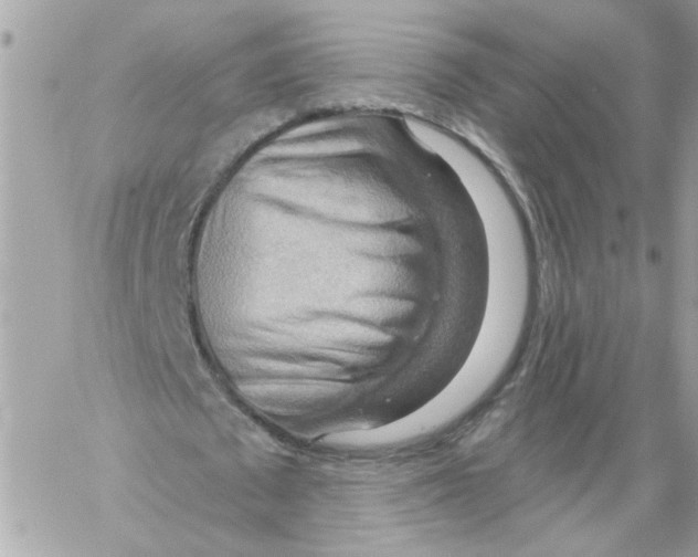 X0000058820673200510211930