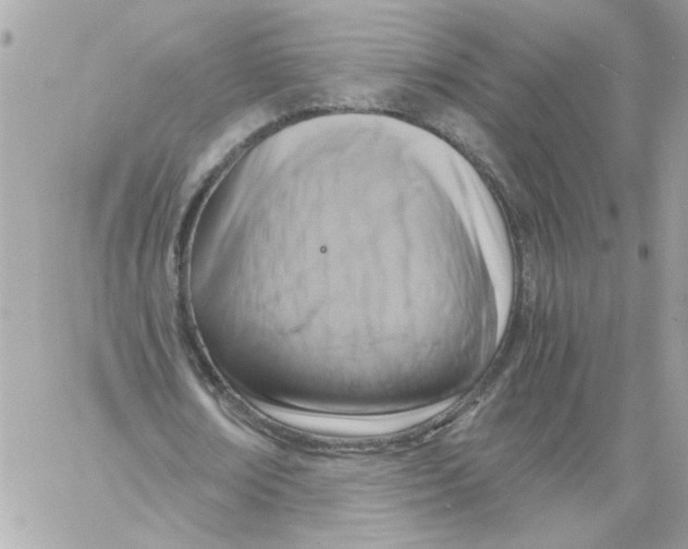 X0000058820674200510211930