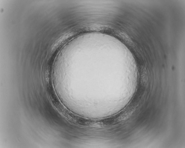 X0000058820683200510211930