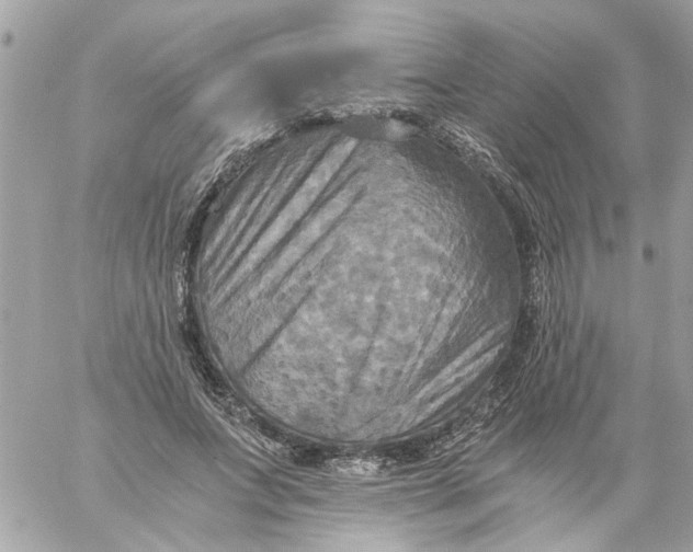 X0000058820687200510211930