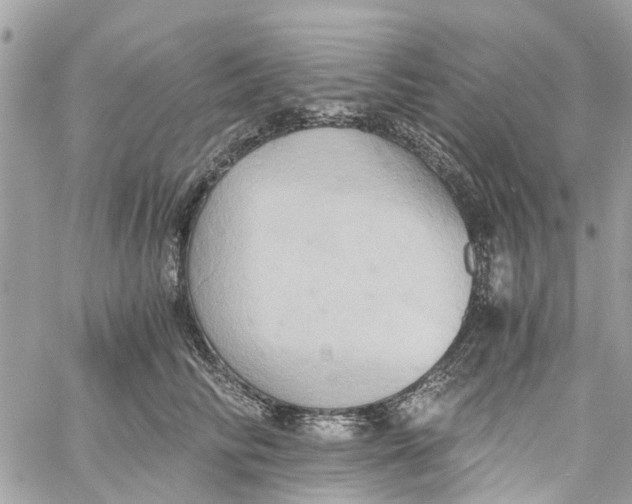 X0000058820710200510211930