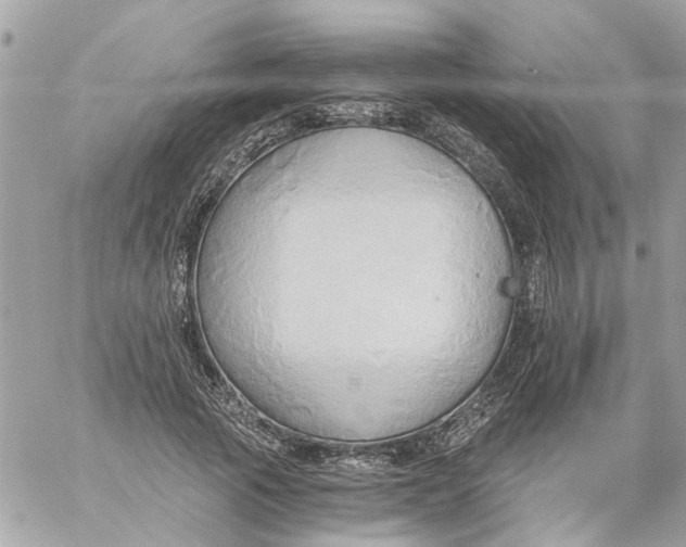 X0000058820737200510211929