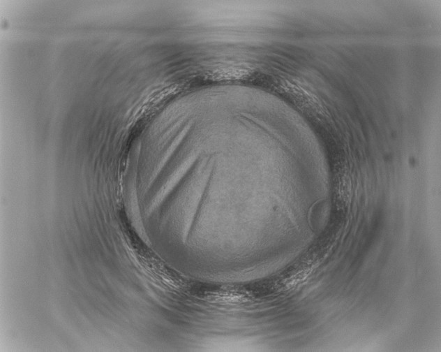 X0000058820743200510211929