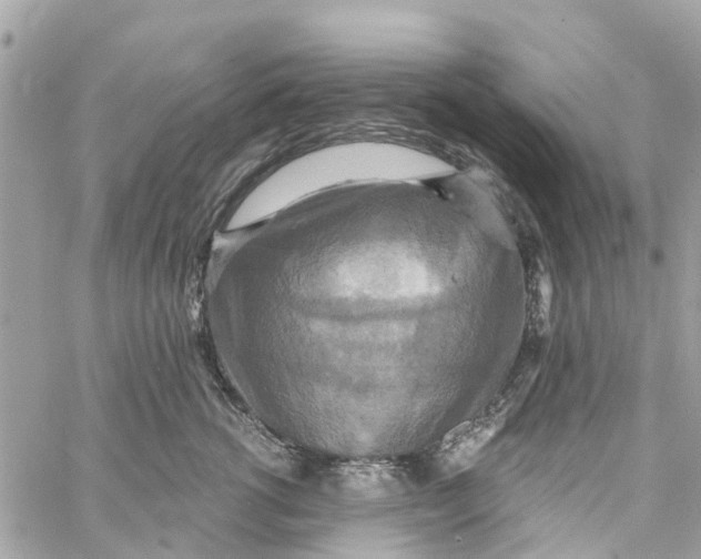 X0000058820762200510211929