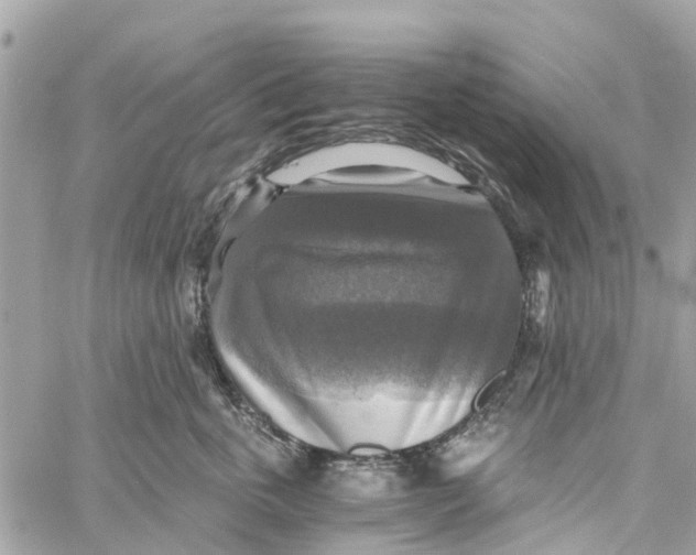 X0000058820763200510211929