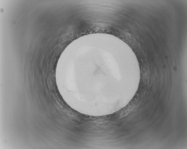 X0000058820769200510211929