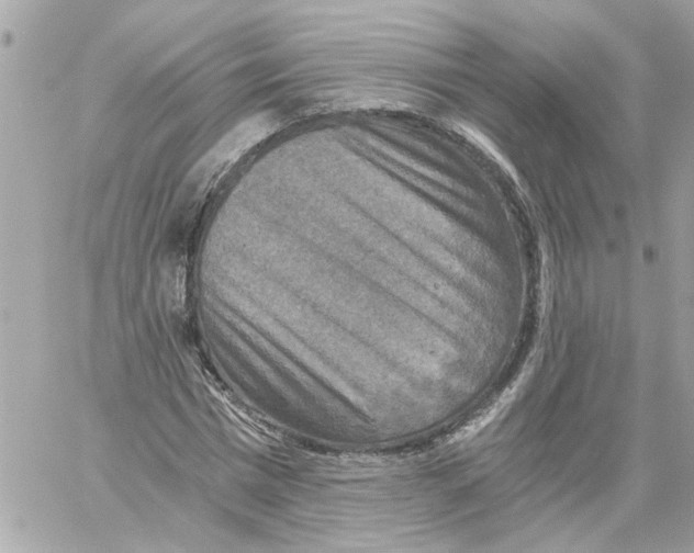 X0000058820777200510211928