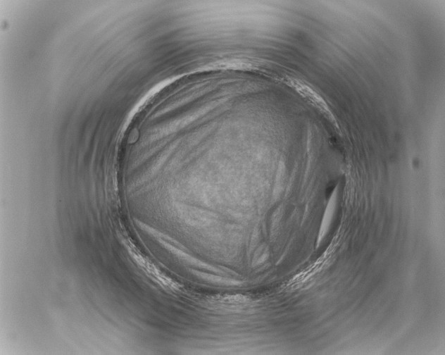 X0000058820784200510211928