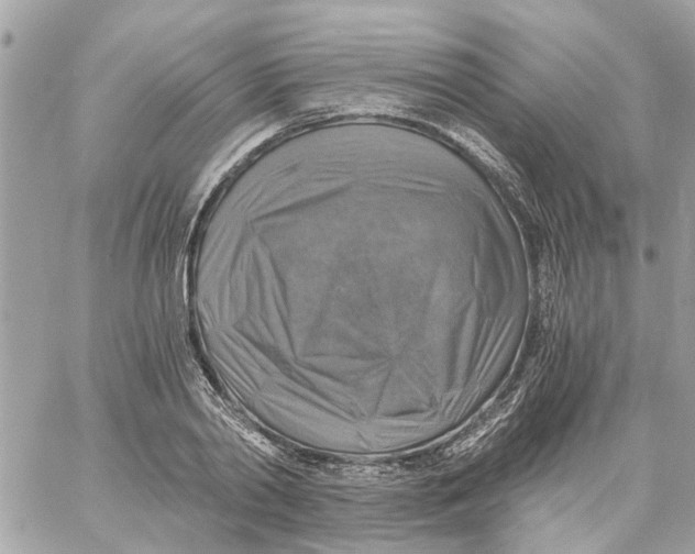 X0000058820790200510211928