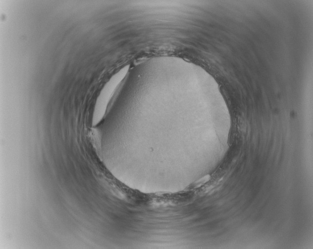X0000058820818200510211927