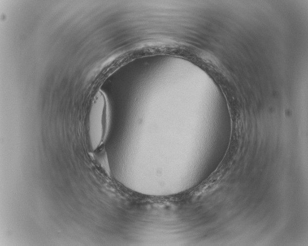 X0000058820822200510211927