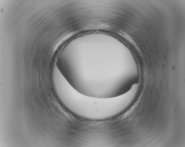 X0000058820826200510211927