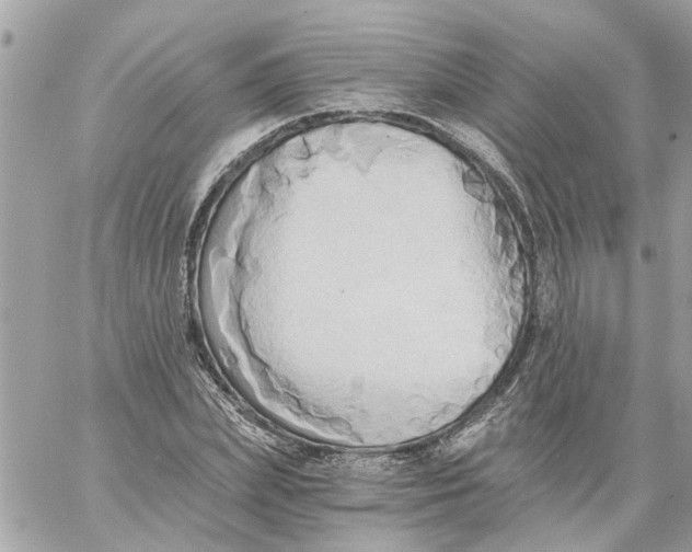 X0000058820831200510211927