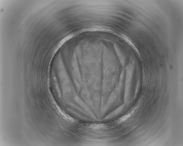 X0000058820845200510211927
