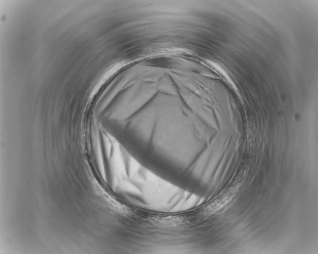 X0000058820851200510211928