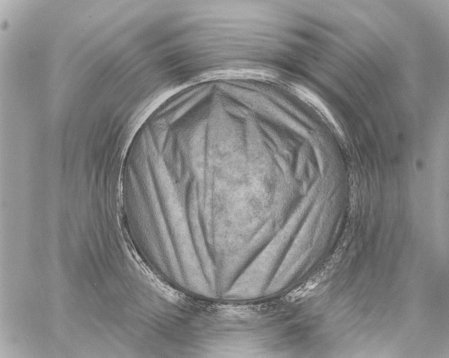 X0000058820852200510211928