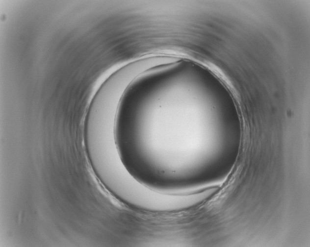 X0000058820862200510211928