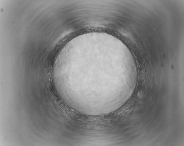 X0000058820870200510211927