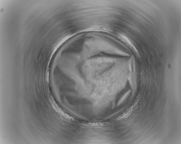 X0000058820900200510211926