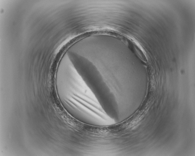 X0000058820975200510211925