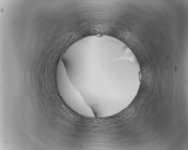 X0000058821009200510211924