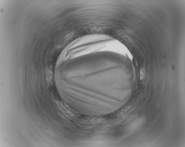 X0000058821011200510211924