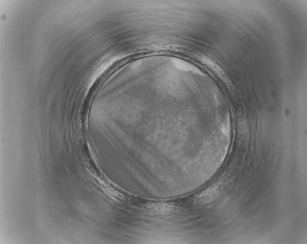 X0000058821023200510211924