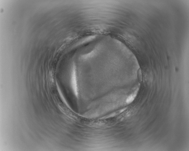 X0000058821106200510211922