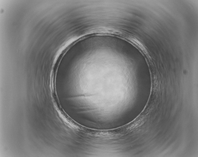 X0000058821128200510211923