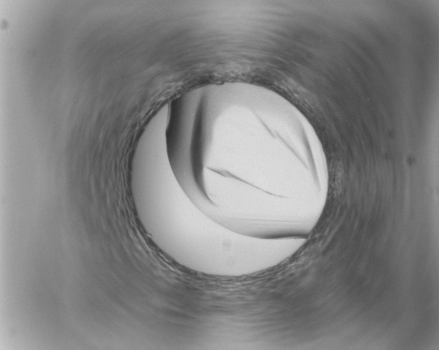 X0000058821153200510211922