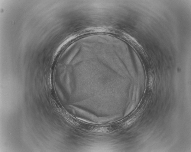 X0000058821174200510211922