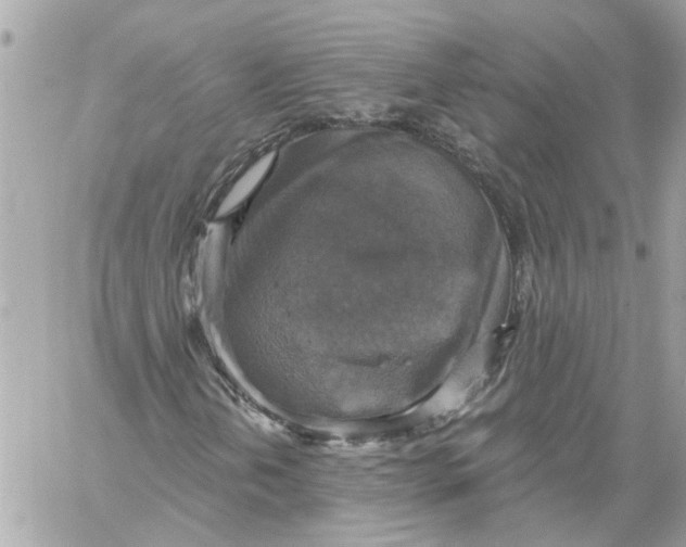 X0000058821202200510211921