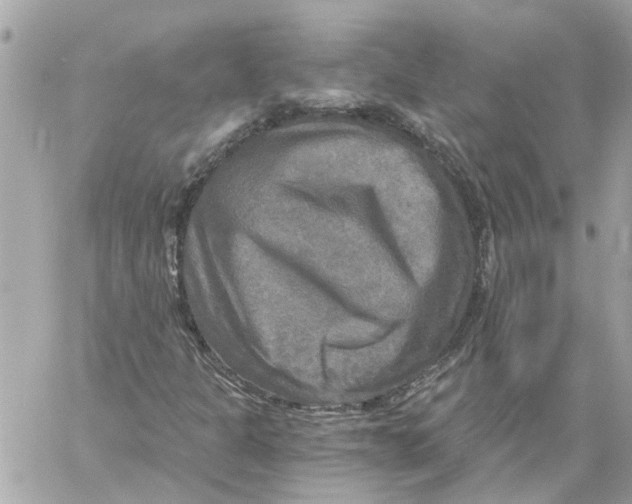 X0000058821301200510211919