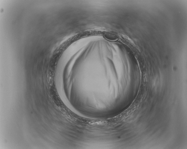 X0000058821303200510211919