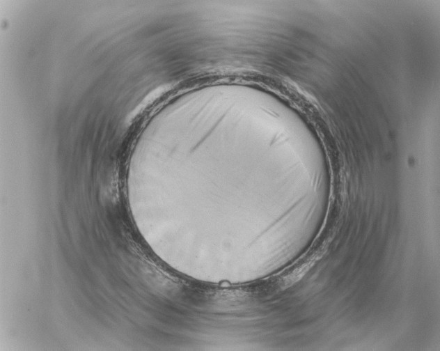 X0000058821306200510211919