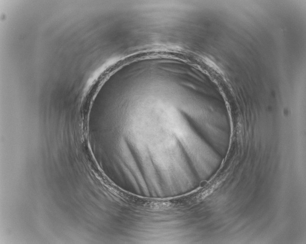 X0000058821310200510211919