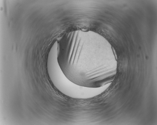X0000058821345200510211919