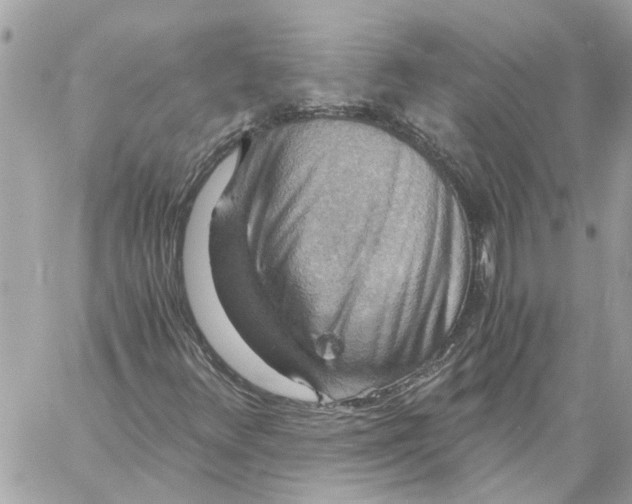 X0000058821348200510211919