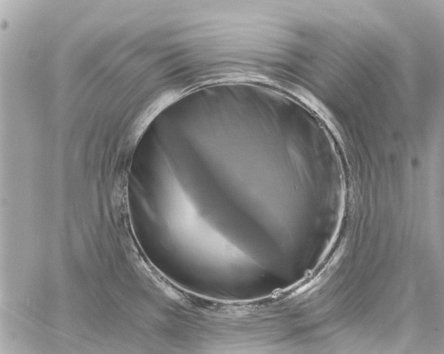 X0000058821385200510211918