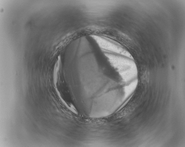 X0000058821397200510211918