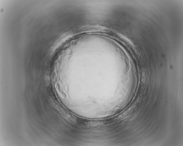 X0000058821407200510211918