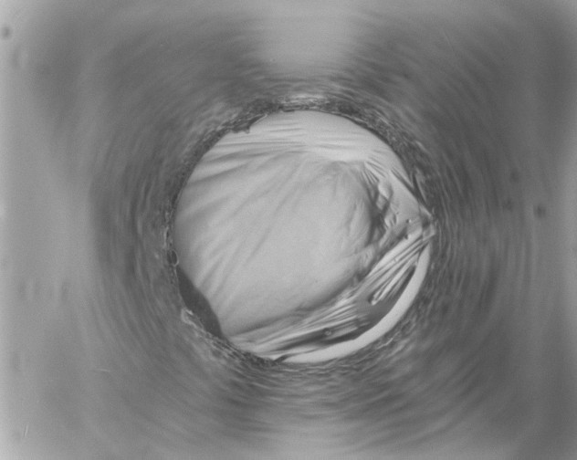X0000058821441200510211918