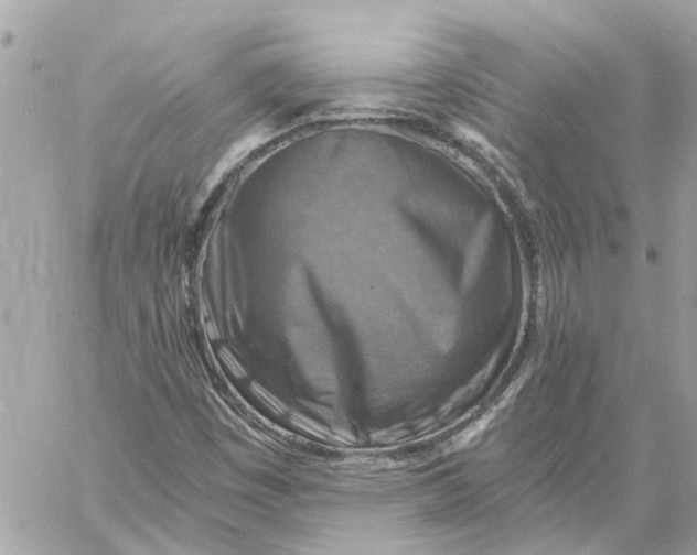 X0000058821449200510211917