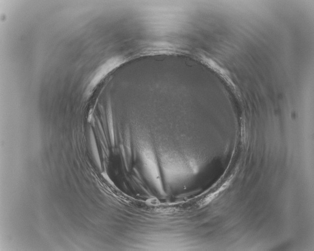 X0000058821453200510211917
