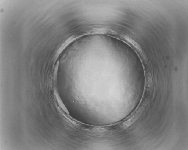 X0000058821473200510211917