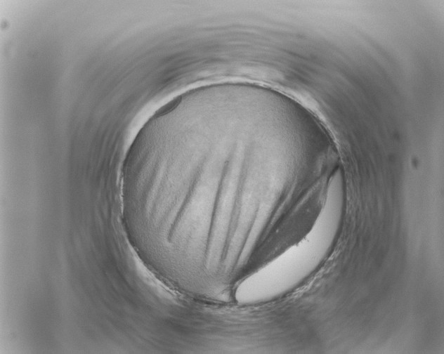 X0000058821524200510211917
