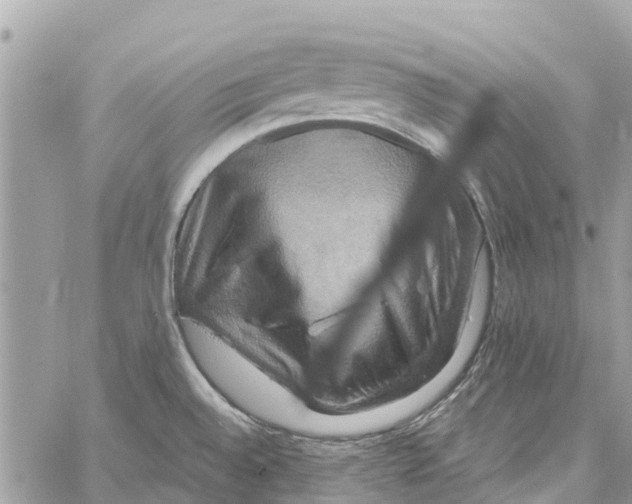 X0000058821528200510211917